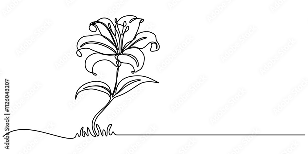 Poster trout lily flower continuous line drawing with varying width editable stroke, lily continuous line d