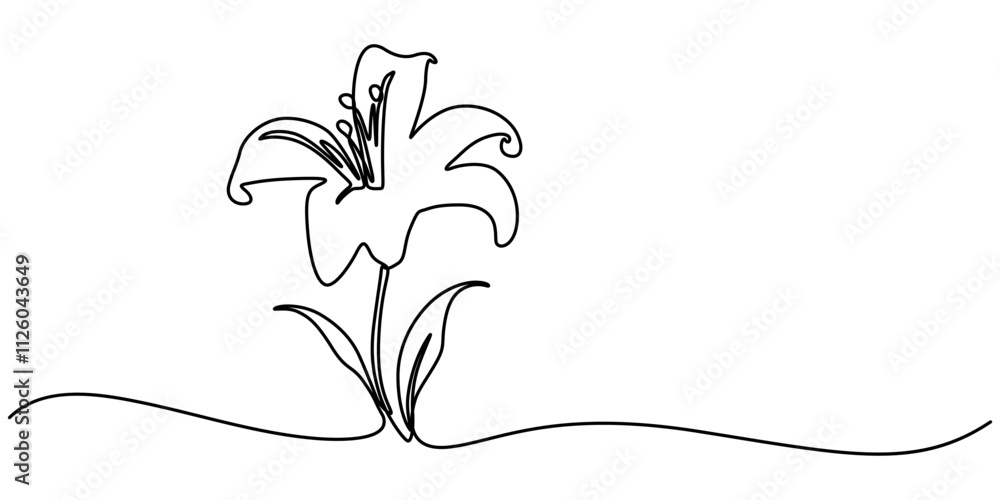 Poster trout lily flower continuous line drawing with varying width editable stroke, lily continuous line d
