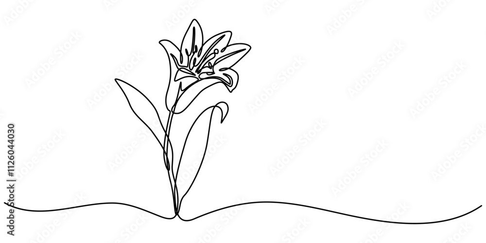 Poster trout lily flower continuous line drawing with varying width editable stroke, lily continuous line d