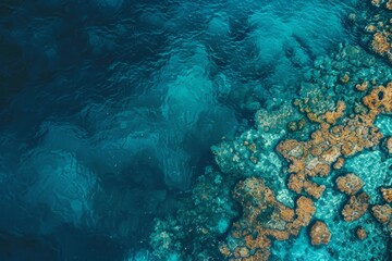 Fototapeta premium A stunning view reveals a colorful coral reef under clear turquoise waters, showcasing the diverse marine ecosystem thriving in a peaceful underwater environment.