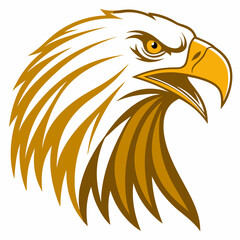 head of eagle