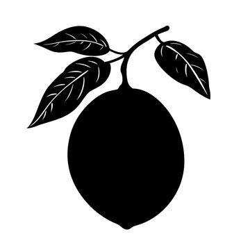 Simple creative flat 2D black and white silhouette illustration of a single mangaba fruit isolated on a white transparent background