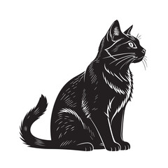 Obraz premium Cat vector