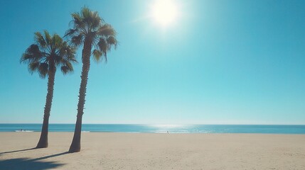 Obraz premium Bright Sunny Beach with Clear Blue Sky and Palm Trees
