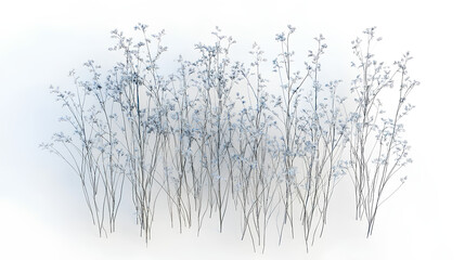 Obraz premium Littile bluestem with white background, 3D rendering, for illustration, digital composition, architecture visualization from top view 