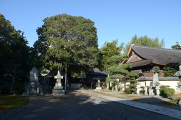 聖衆来迎寺　開山堂と客殿　滋賀県大津市比叡辻