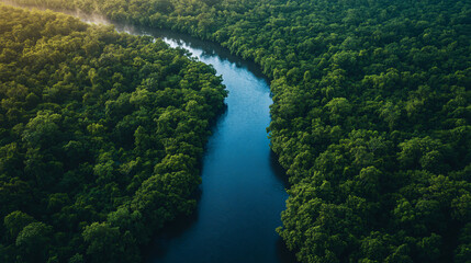 River Landscape
