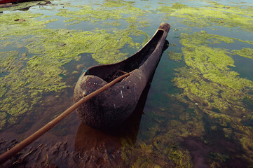 Tree dugout canoe in Godavari river, Bhadrachalam, Andhra Pradesh, India