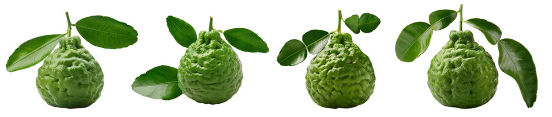 Four fresh bergamot fruits with green leaves, white isolated background.