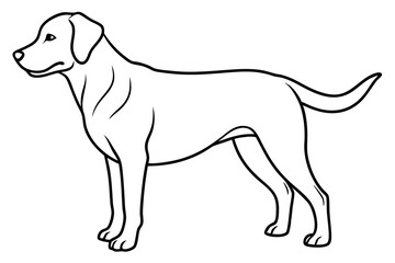  Labrador Retriever Line Art Vector Design