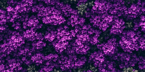 Aerial Perspective of a Stunning Purple Floral Bush. Vibrant Flower Bed Display. Refreshing Spring Nature Scene. Abstract Natural Flat Lay Background Highlighting Floral Beauty.