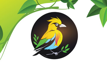 A black bird with a yellow and white body