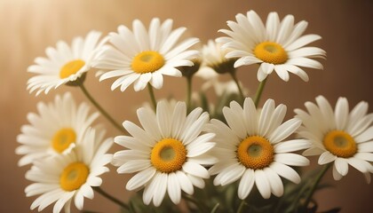 Flores de margaritas blancas sobre un fondo suave y de tonos c&aacute;lidos