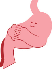 健やかな胃 安静時の胃 眠る胃