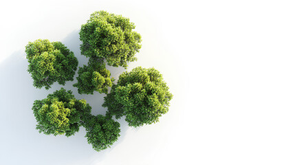 New zealand hair sedge trees shape top view cut out white