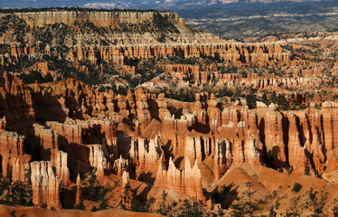 Bryce-Canyon Nationalpark - Utah - Nordamerika