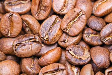 Still life photography of coffee beans, Panama Montenegro Estate Caturra
