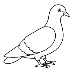 A drawing of a pigeon with a white background
