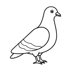 A drawing of a pigeon with a white background