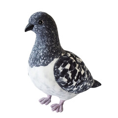 Fototapeta premium ANGLED VIEW of a perfectly made hyper realistic Pigeon bird soft toy isolated on a white transparent background