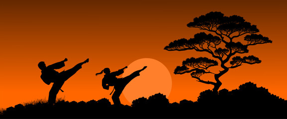 Vektor Silhouette zwei Körper Mann und Frau beim Fußtritt - Kampfsport und Selbstverteidigung in der Natur beim Sonnenaufgang - Kampf und Technik synchron  © fotografiedk