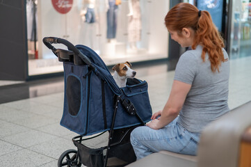 Caucasian woman petting her Jack Russell terrier dog. Shopping with a pet in the mall.