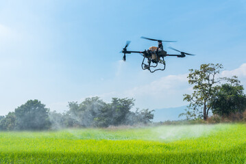Smart farm with drone, Agriculture drone fly to sprayed fertilizer on the rice fields.
