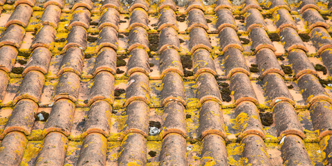 old house roof made of moss-covered tiles awaiting industrial treatment and complete renovation