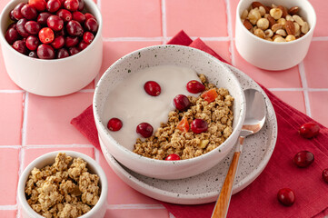 granola and yogurt in a bowl with fresh cranberries
