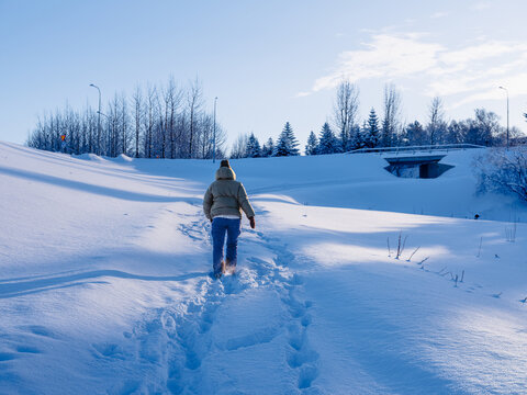 Walking on a snowy trail in winter sunshine