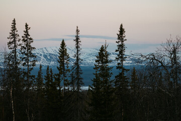 Snowy Mountain and Forest at Dusk