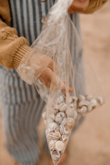 Toddler collecting shells on the beach