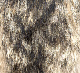 A close up of a furry animal's coat with a mix of brown and black colors
