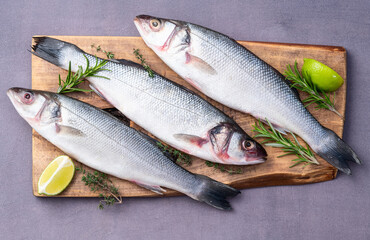 Raw sea bass fish photography . Top view