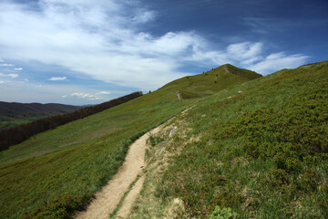 Landscape of Polonina Carynska in Bieszczady mountain range, Poland