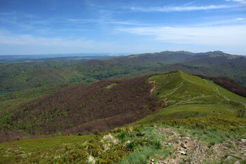 Naklejka premium Landscape of Polonina Carynska in Bieszczady mountain range, Poland
