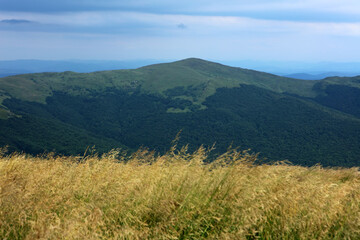 Halicz peak - view from Tarnica - the highest peak in Bieszczady mountain range, Poland