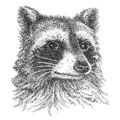 Illustration of a raccoon using pointelism technique. Drawing with black dots and spots.
