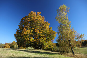 Naklejka premium Autumn landscape of former, abandoned village Jasiel in Low Beskids mountains, Poland