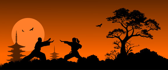 Vektor Silhouette zwei Körper Mann und Frau machen Kata - Kampfsport und Selbstverteidigung in der Natur beim Sonnenaufgang - Kampf und Technik - Körper und Geist © fotografiedk