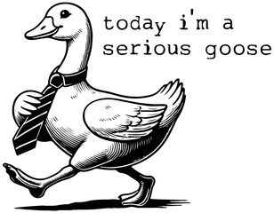 The Goose is Walking, Cartoon Funny, Serious Goose. , Retro Meme Vintage.