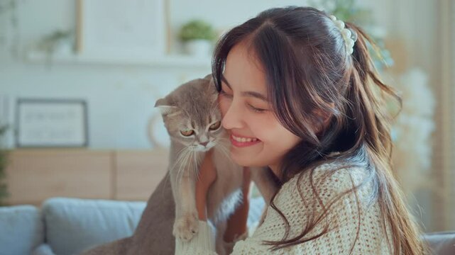 Happy Asian woman hugging cute Scottish fold cat on sofa in living room, Happy domestic animals at home, Cat and owner together, best friends. Love for animals