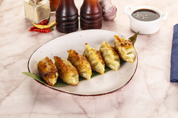 Fried Japanese stuffed dumplings - Gyoza