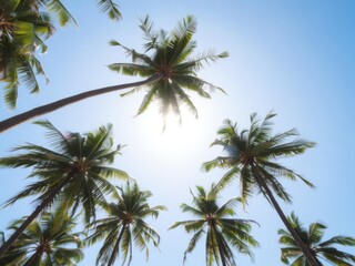 Coconut palm trees reaching towards the shining sun in a bright blue sky, tropical, scenic