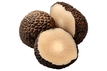 Fresh Bianchetto truffles isolated on white transparent background, great for culinary and gourmet themes.