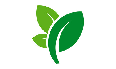 green leaf vector logo
