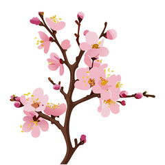 Fototapeta premium Pink Sakura Blossom Branch with Buds and Flowers on White Background