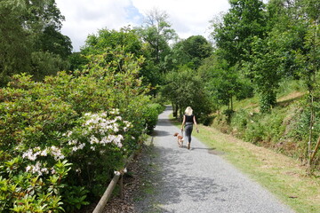 Weg im Schlossgarten und Schlosspark von Bad Berleburg