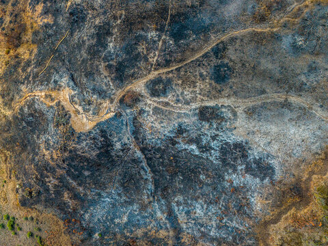 Scorched Earth with Natural Patterns from Above