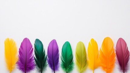 Row of colorful feathers on a white background. The feathers are of different colors, including...